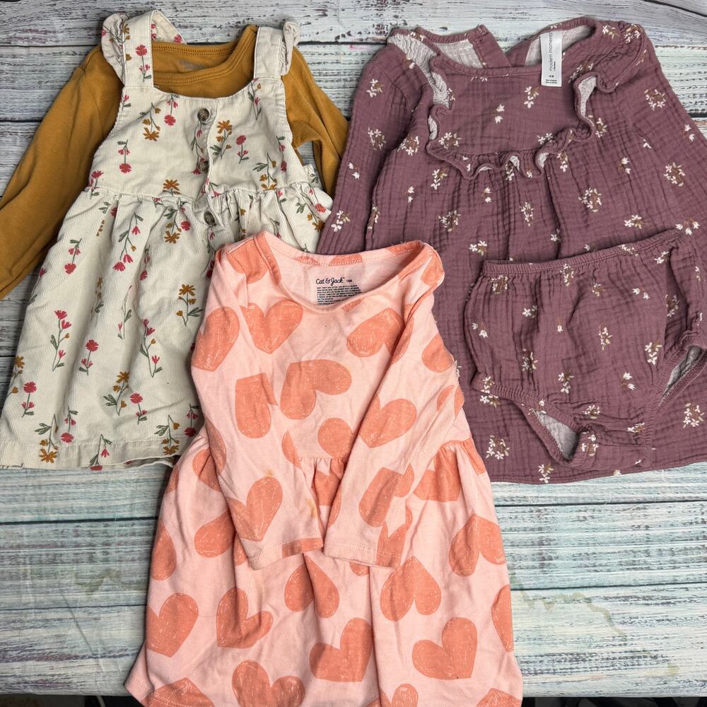 Baby Girls 18M Dress Outfit Lot Carter's Modern Moments Floral Fall 3 Piece